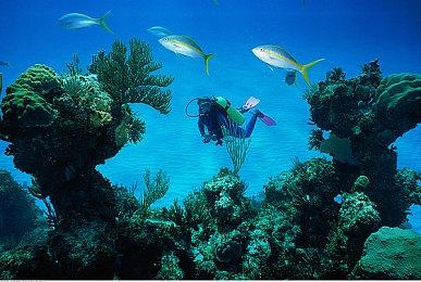 《肯塔基0号路》团队正式宣布开发新游戏作品